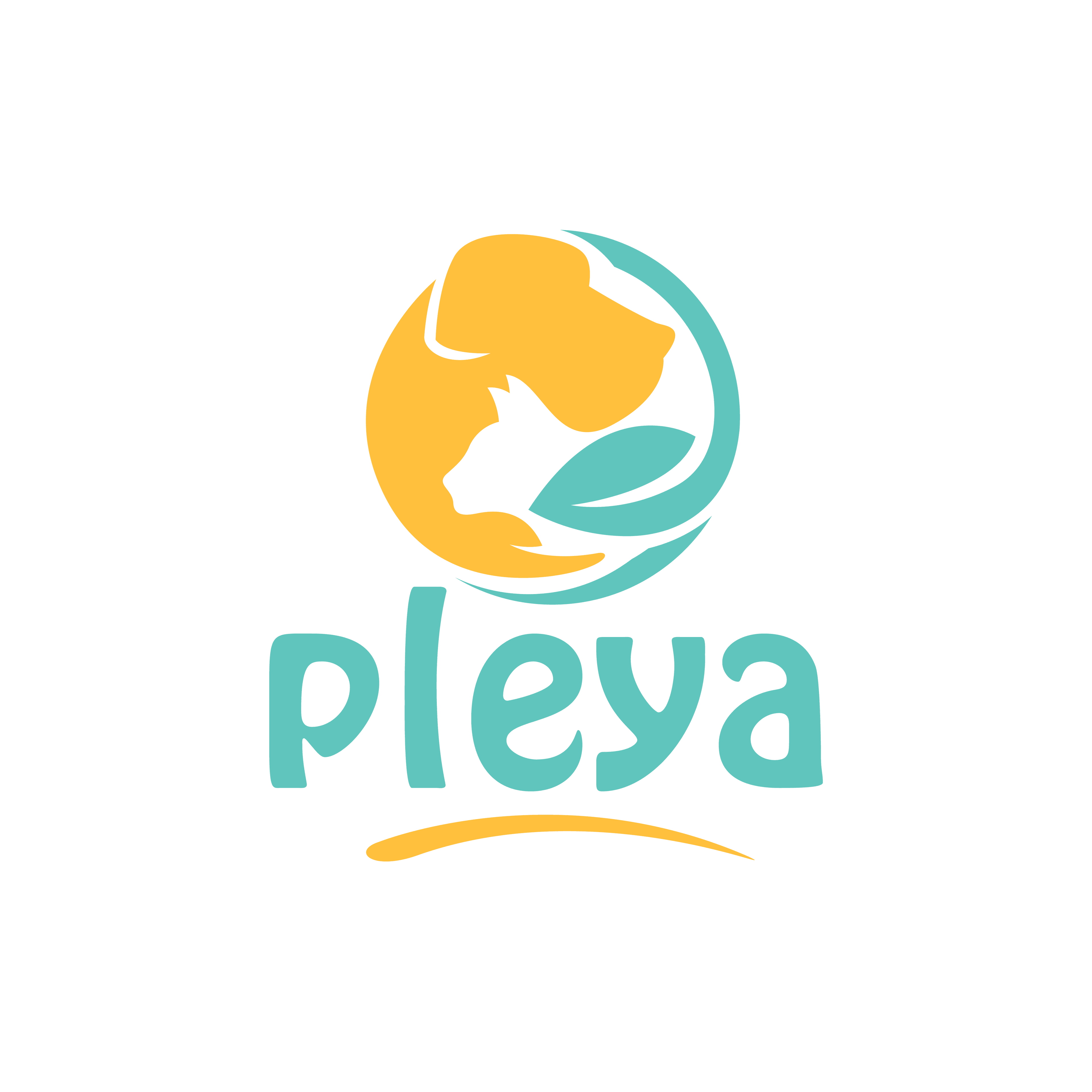Pleya logo
