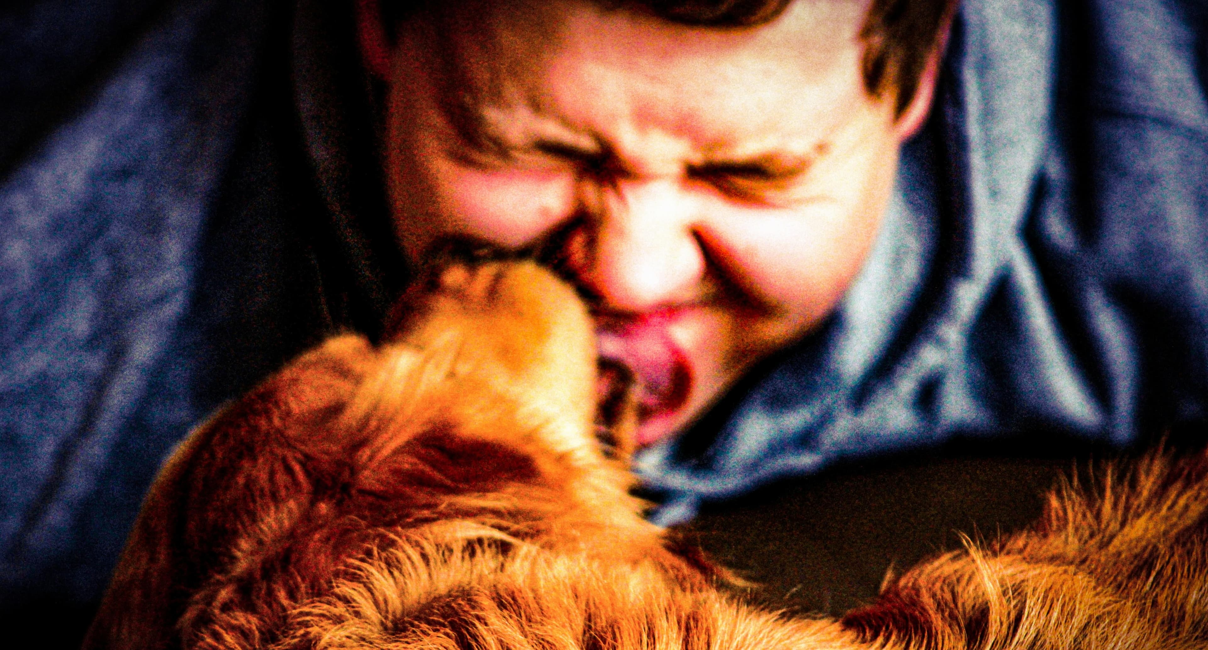 Why Does My Dog Lick Me So Much? (And How to Stop It)